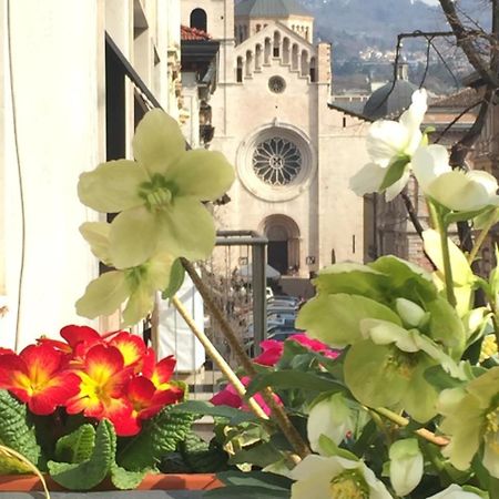 B&B Homer Trento Exterior foto